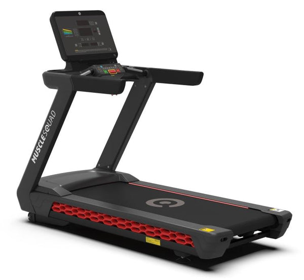 P300 Advanced Treadmill
