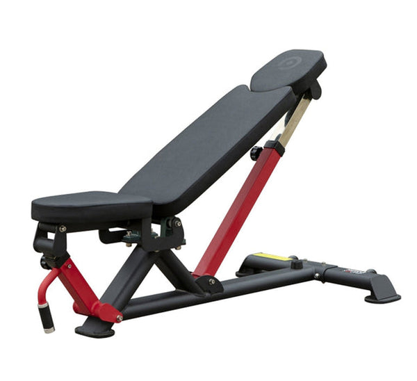 MuscleSquad Phase 3 FID Dumbbell Bench