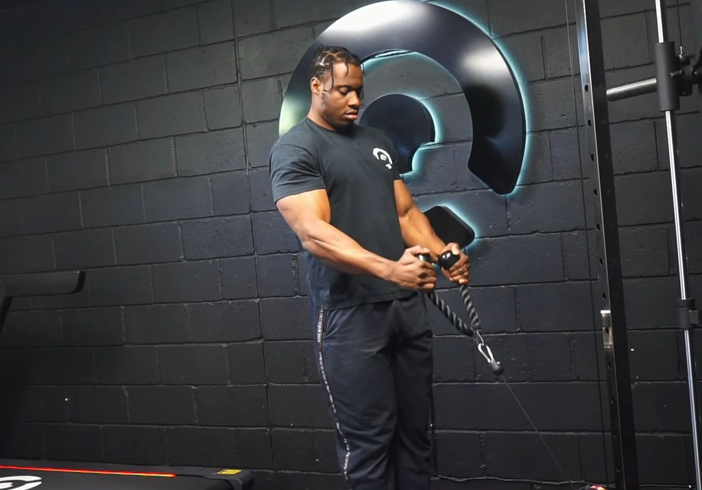 Curling Rope The Rope Hammer Curl — form, muscles worked & benefits | MuscleSquad