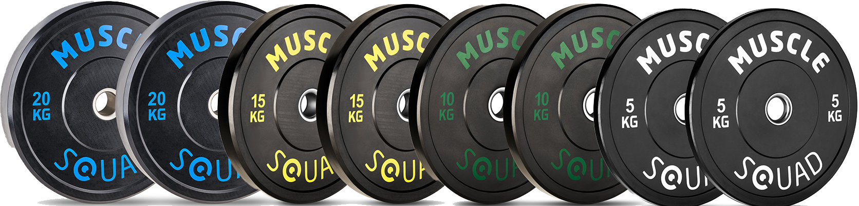 ms-bundle